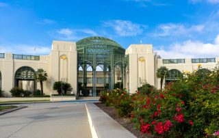 Bicycle, Injury, and Disability Legal Team in Escondido