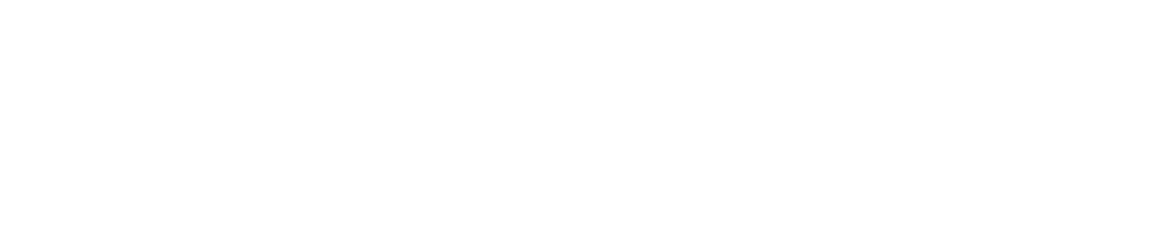 Bonnici Law Group, APC Logo